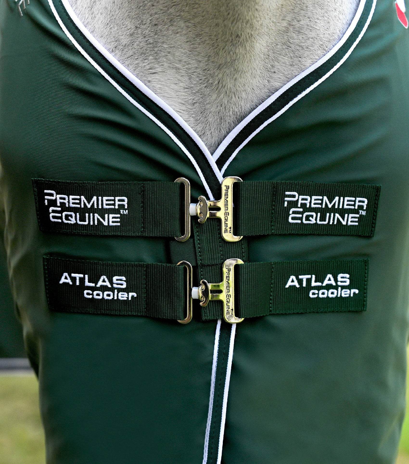 Premier Equine Atlas Horse Cooler Rug Green - N P Equestrian & Pet Supplies Ltd 