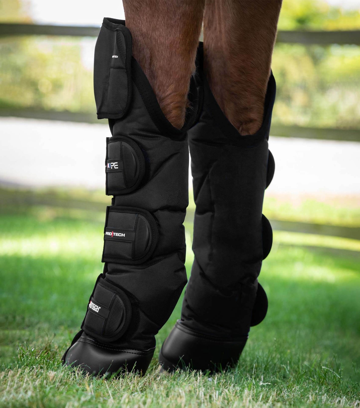 Premier Equine Ballistic Knee Pro-Tech Horse Travel Boots - N P Equestrian & Pet Supplies Ltd 