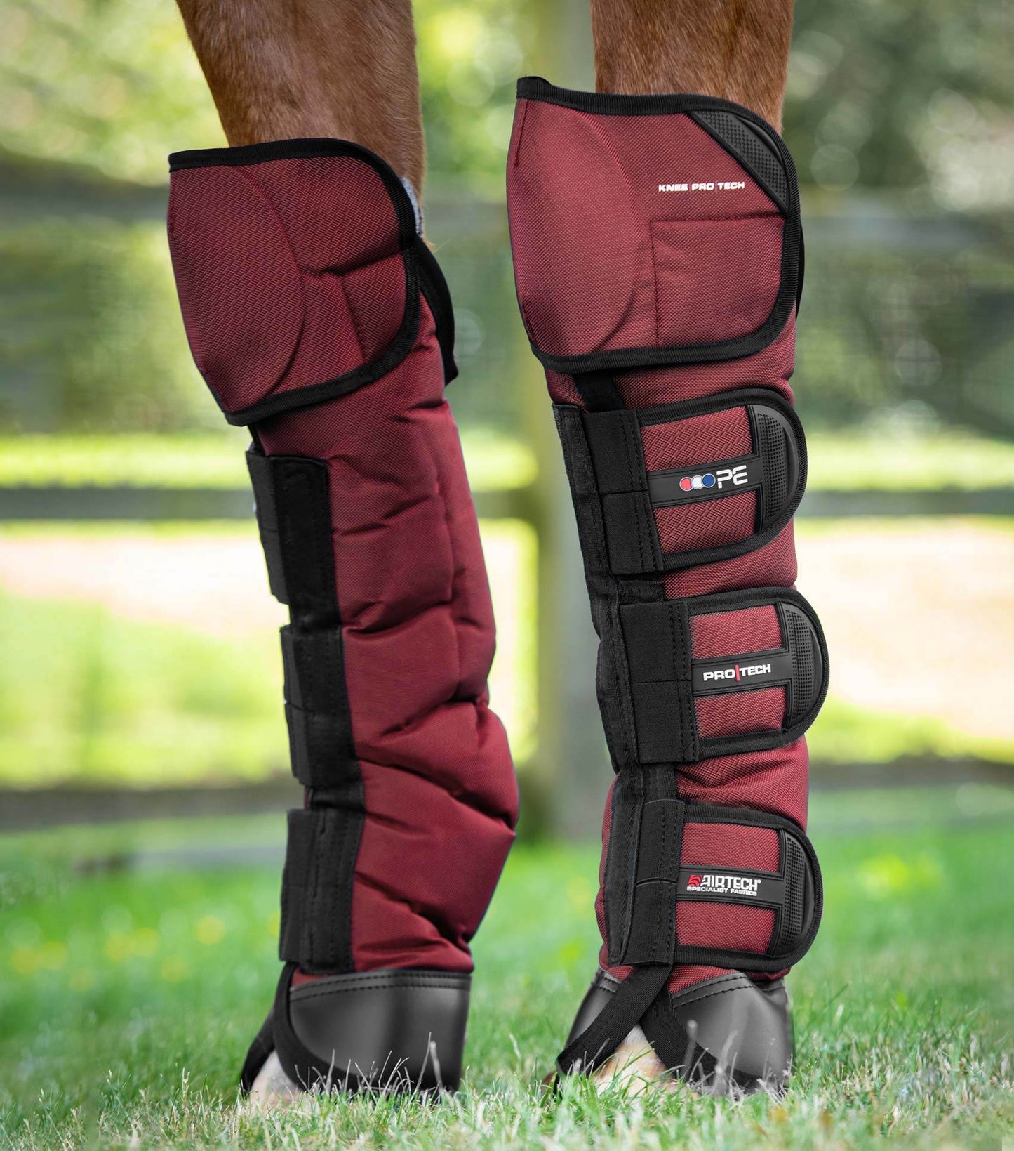 Premier Equine Ballistic Knee Pro-Tech Horse Travel Boots - N P Equestrian & Pet Supplies Ltd 