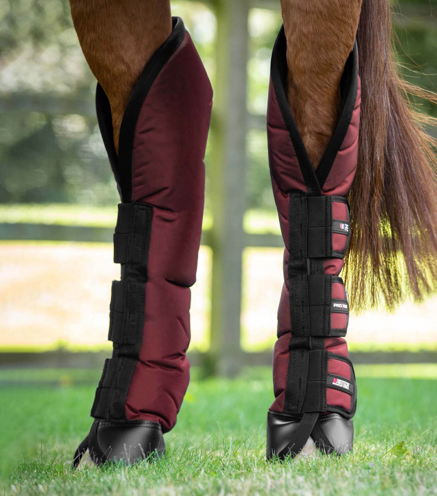 Premier Equine Ballistic Knee Pro-Tech Horse Travel Boots - N P Equestrian & Pet Supplies Ltd 