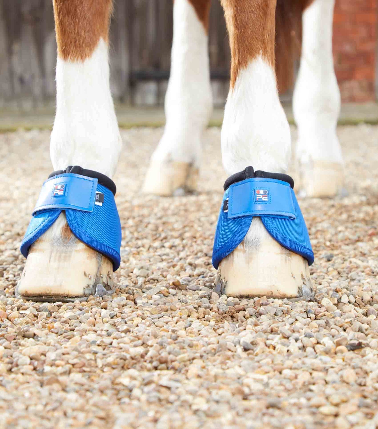 Premier Equine Ballistic No-Turn Over Reach Boots - N P Equestrian & Pet Supplies Ltd 