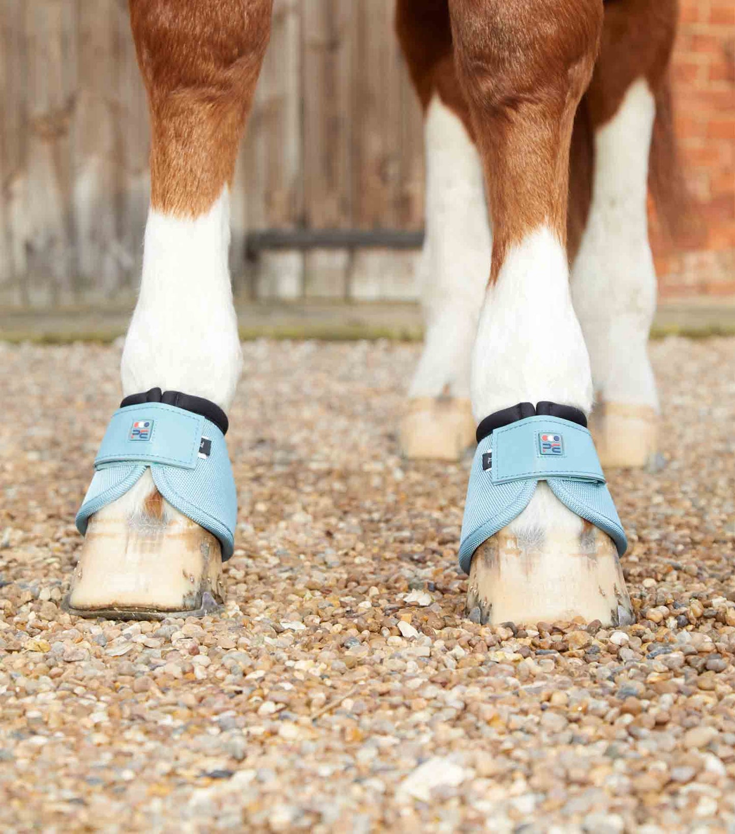 Premier Equine Ballistic No-Turn Over Reach Boots - N P Equestrian & Pet Supplies Ltd 