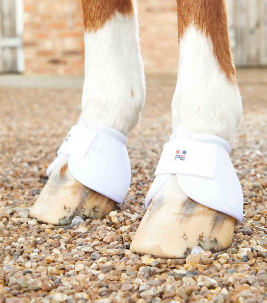 Premier Equine Ballistic No-Turn Over Reach Boots - N P Equestrian & Pet Supplies Ltd 