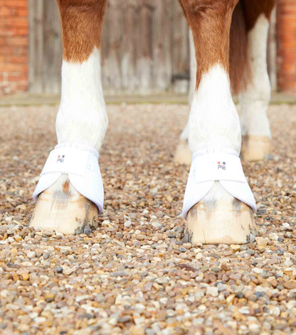 Premier Equine Ballistic No-Turn Over Reach Boots - N P Equestrian & Pet Supplies Ltd 