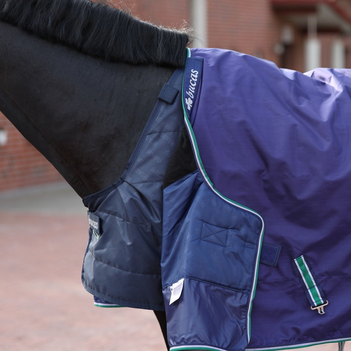 Bucas Liner SF 100g on horse