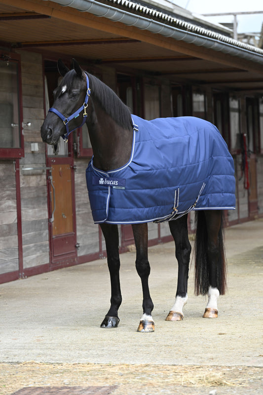 Bucas Quilt 300g Stable Rug with Dermo-Care Lining - Navy/Silver