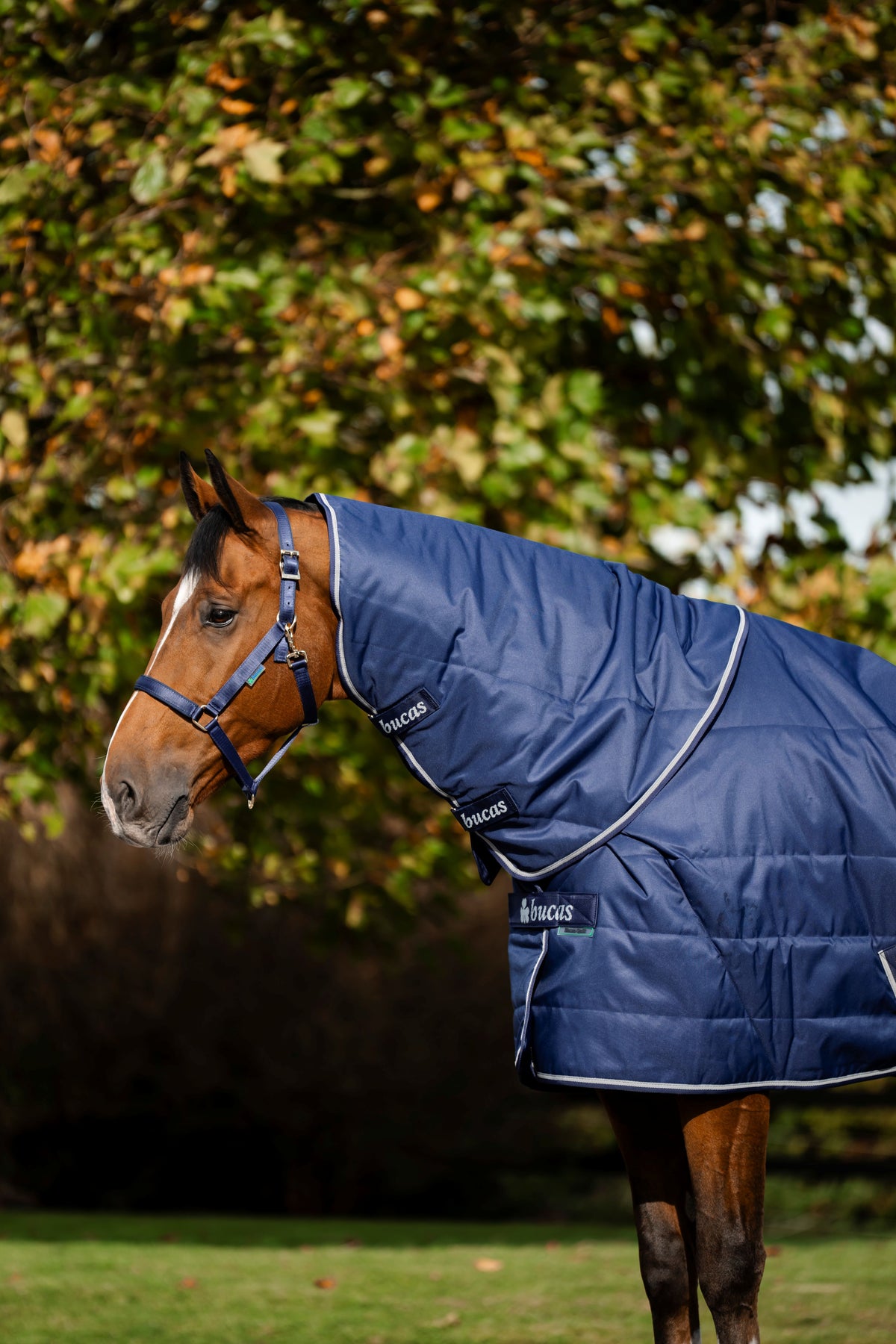 Bucas Quilt Combi 150g Stable Neck Cover - Navy/Silver