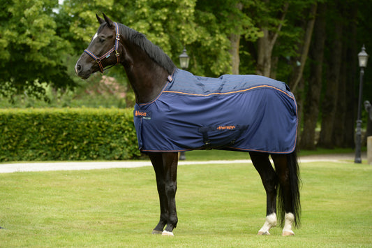 Bucas Therapy Cooler Rug - Navy/Orange