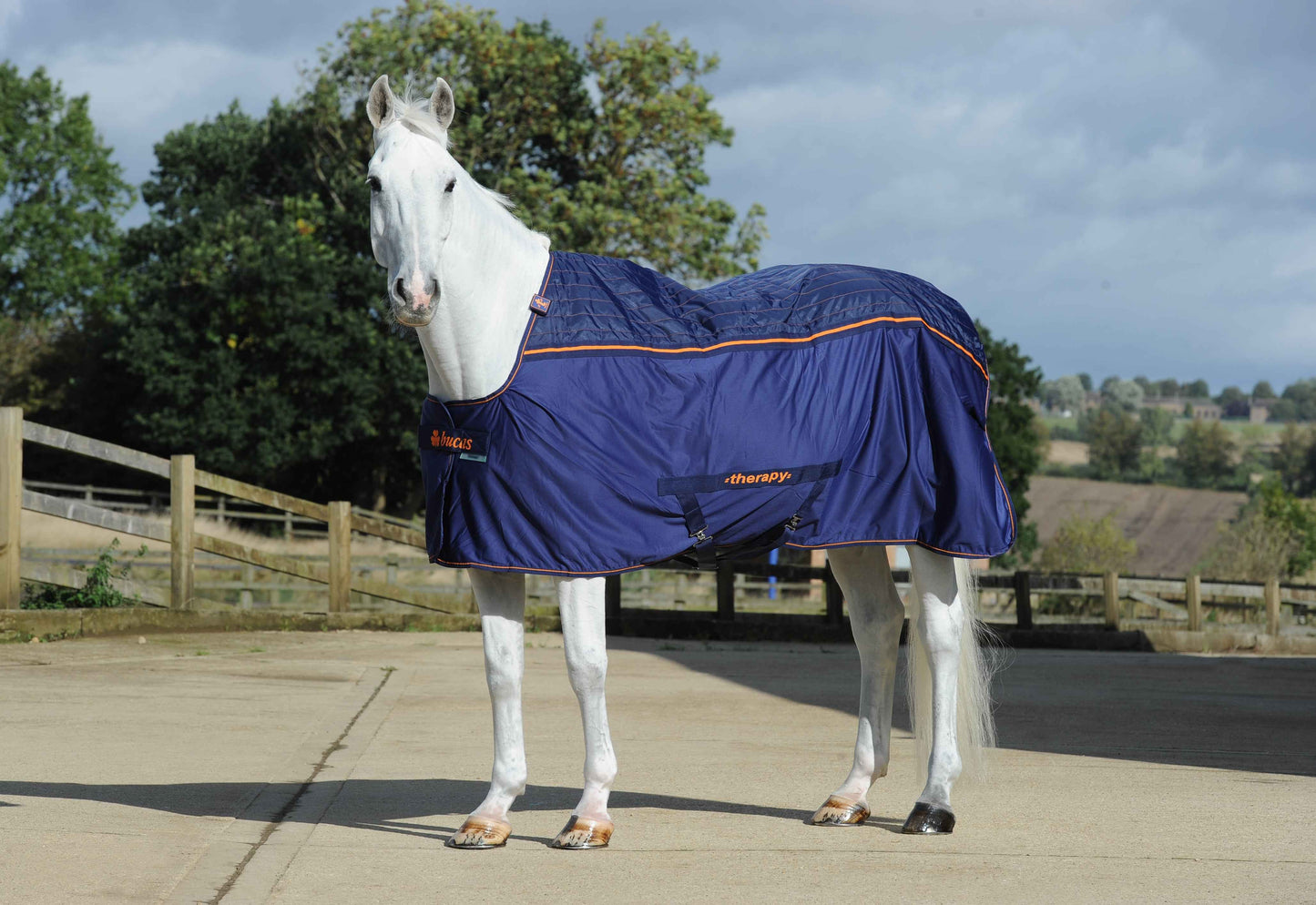 Bucas Therapy Big Neck Standard Neck Cooler Rug - Navy/Orange