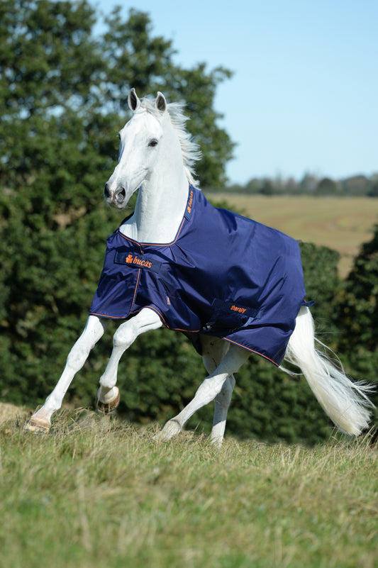 Bucas Therapy 50g Big Neck Standard Neck Turnout Rug - Navy/Orange