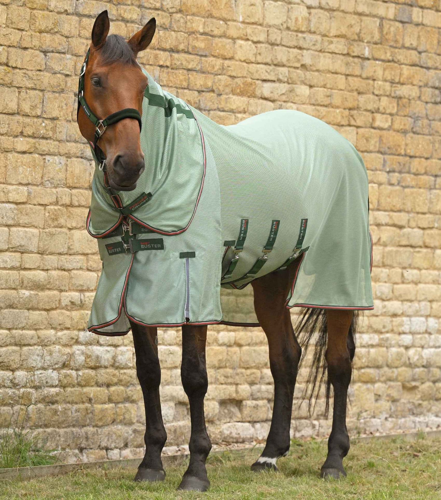 Premier Equine Bug Buster Fly Rug with Detachable Neck and Belly Flap - Mint Green