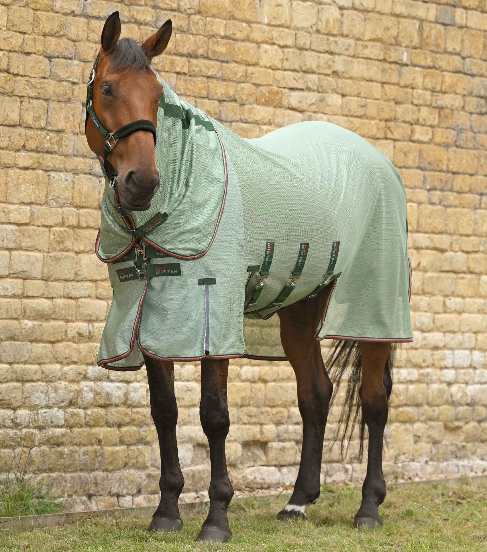 Premier Equine Bug Buster Fly Rug with Detachable Neck and Belly Flap - Mint Green