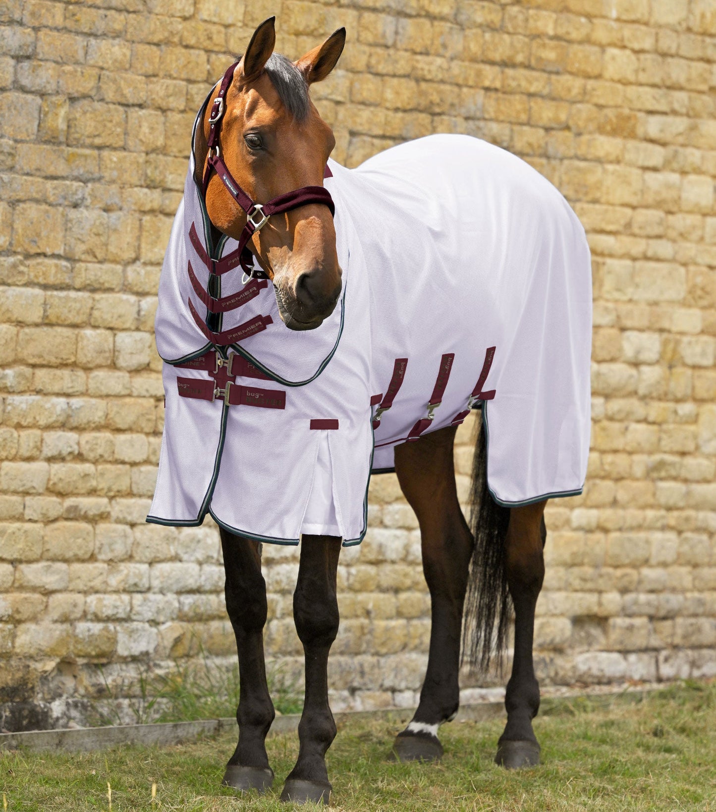 Premier Equine Bug Buster Fly Rug with Detachable Neck and Belly Flap - Lavender