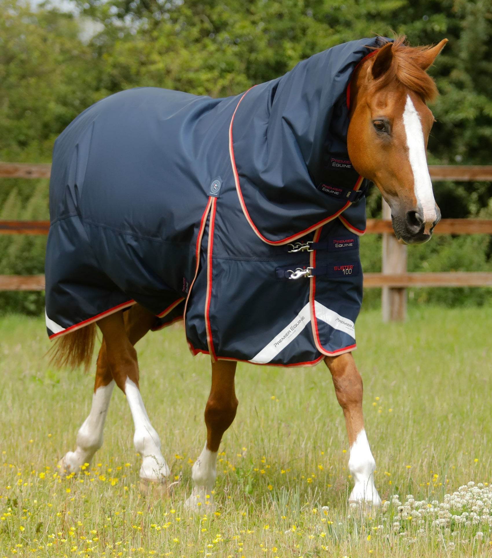 Premier Equine Buster 100g Turnout Rug with Snug-Fit Neck Cover Navy - N P Equestrian & Pet Supplies Ltd 