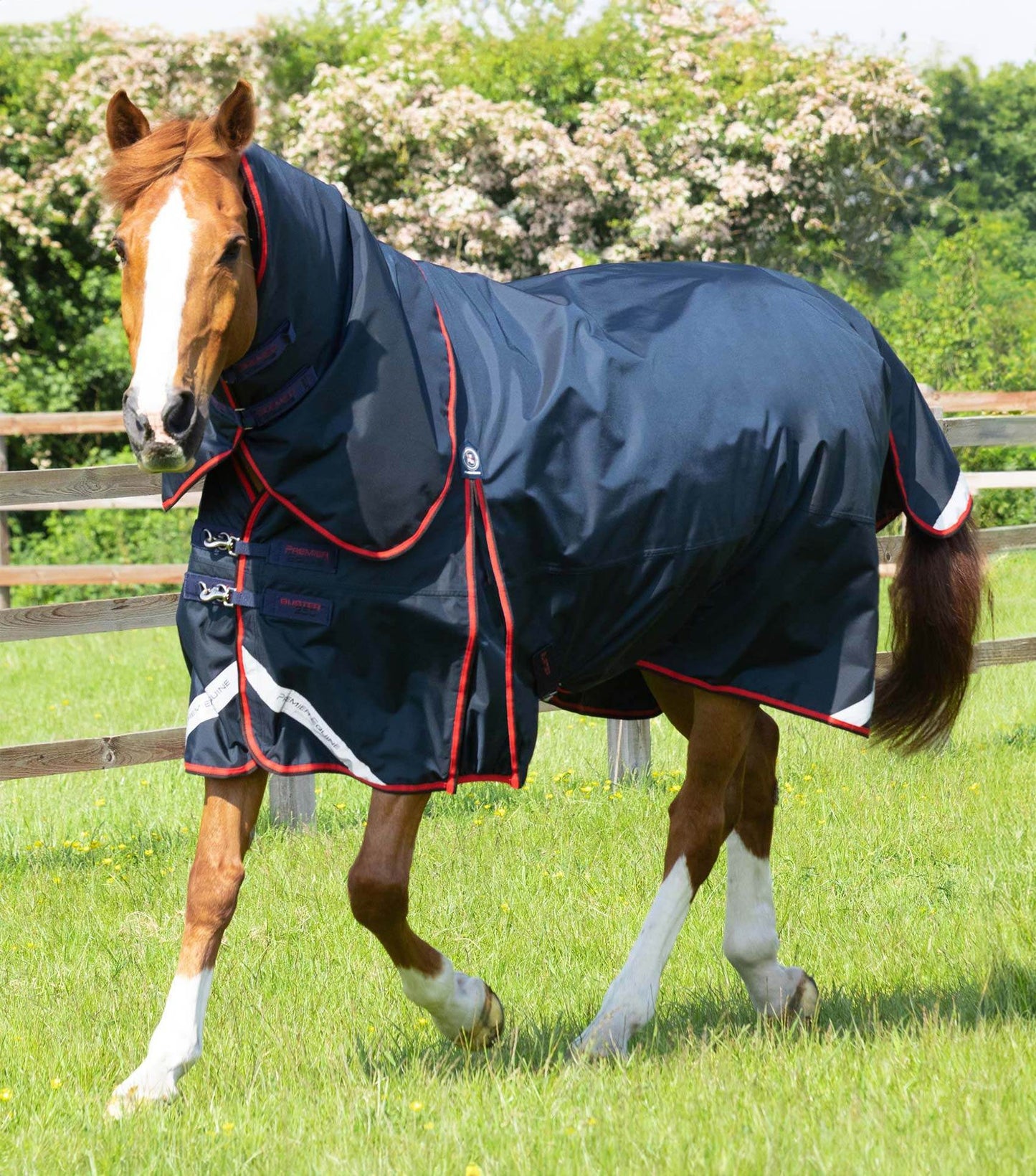Premier Equine Buster 250g Turnout Rug with Classic Neck Cover Navy - N P Equestrian & Pet Supplies Ltd 