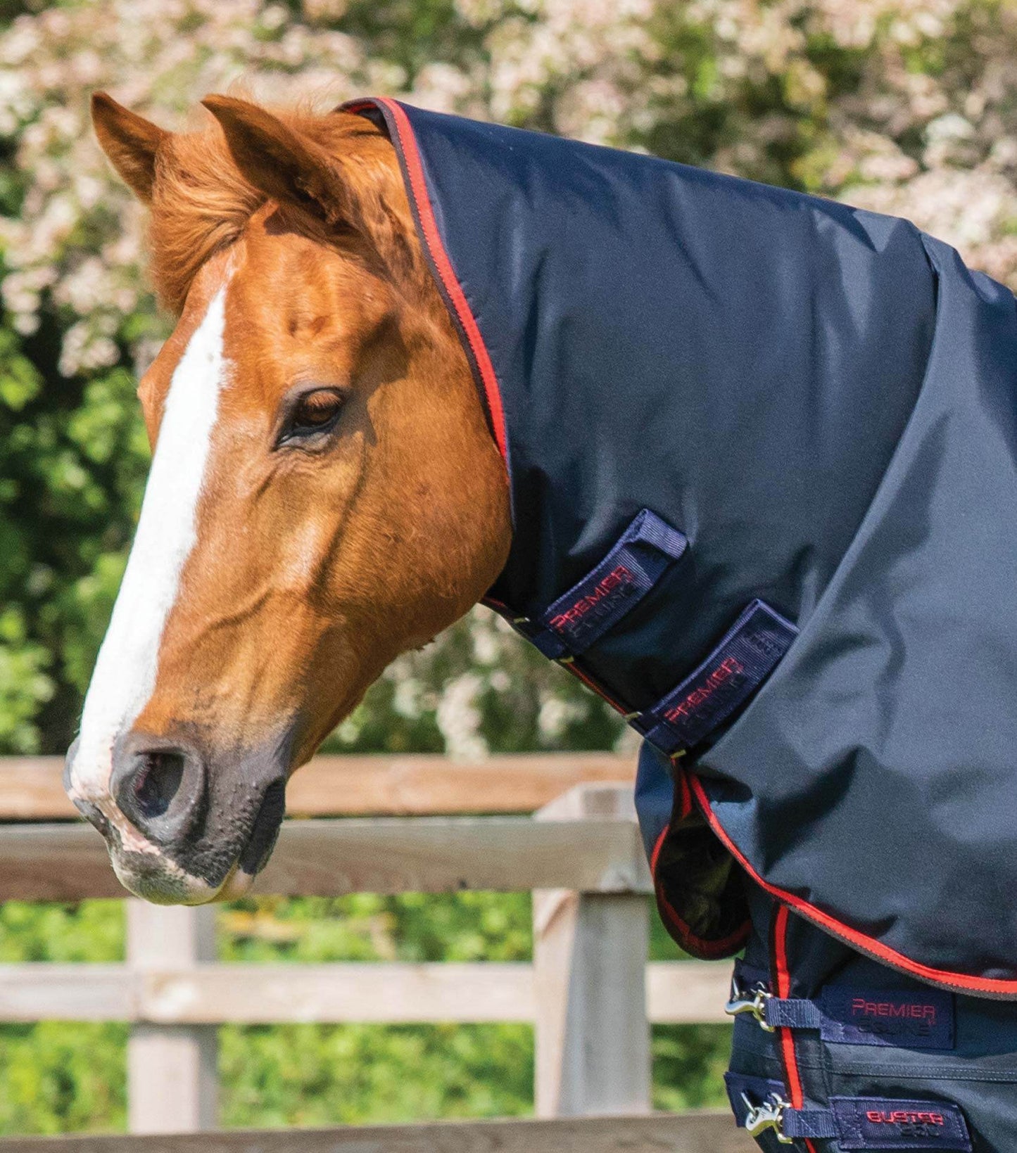Premier Equine Buster 250g Turnout Rug with Classic Neck Cover Navy - N P Equestrian & Pet Supplies Ltd 