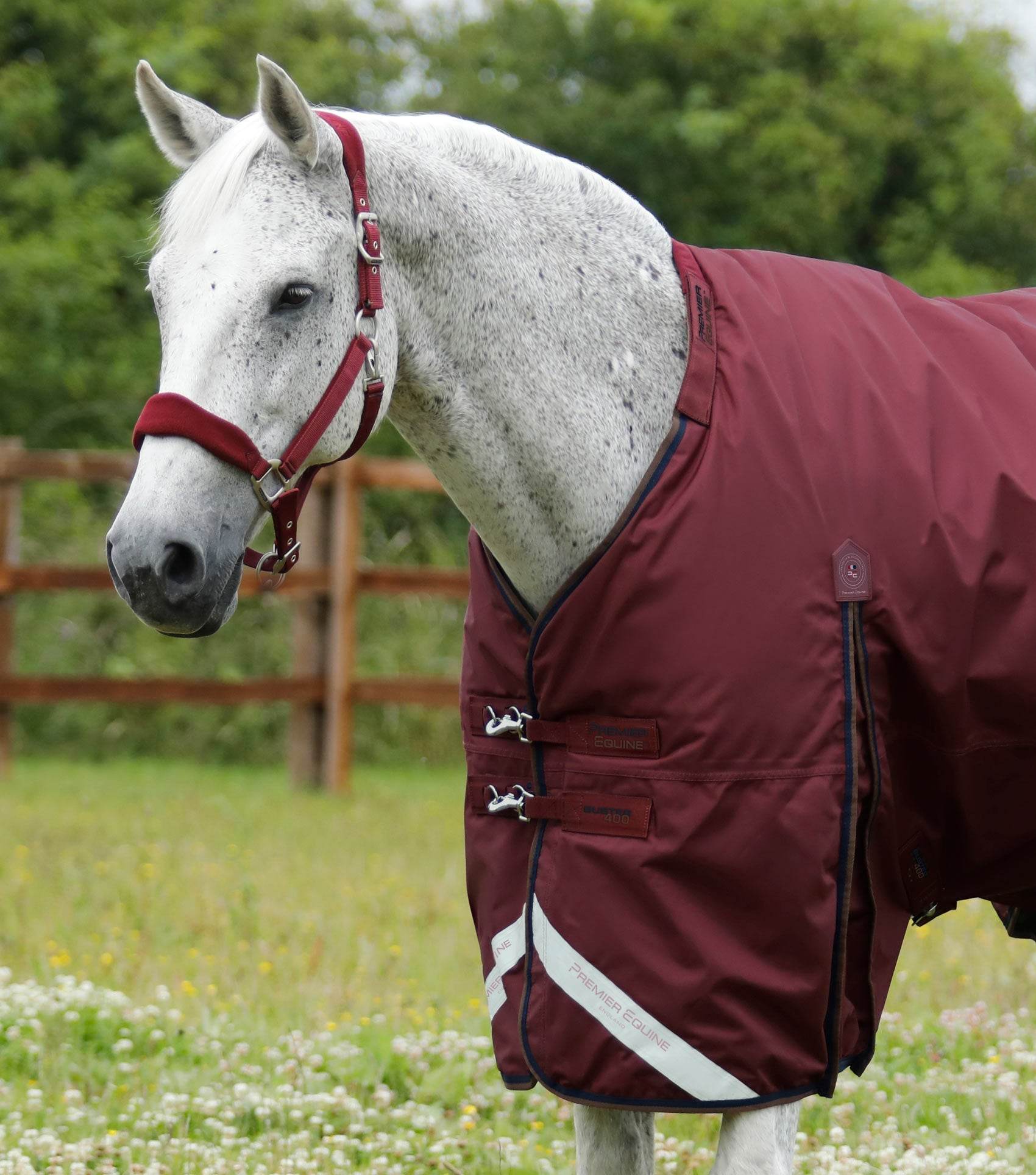Premier Equine Buster 400g Turnout Rug with Snug-Fit Neck Cover Burgundy - N P Equestrian & Pet Supplies Ltd 