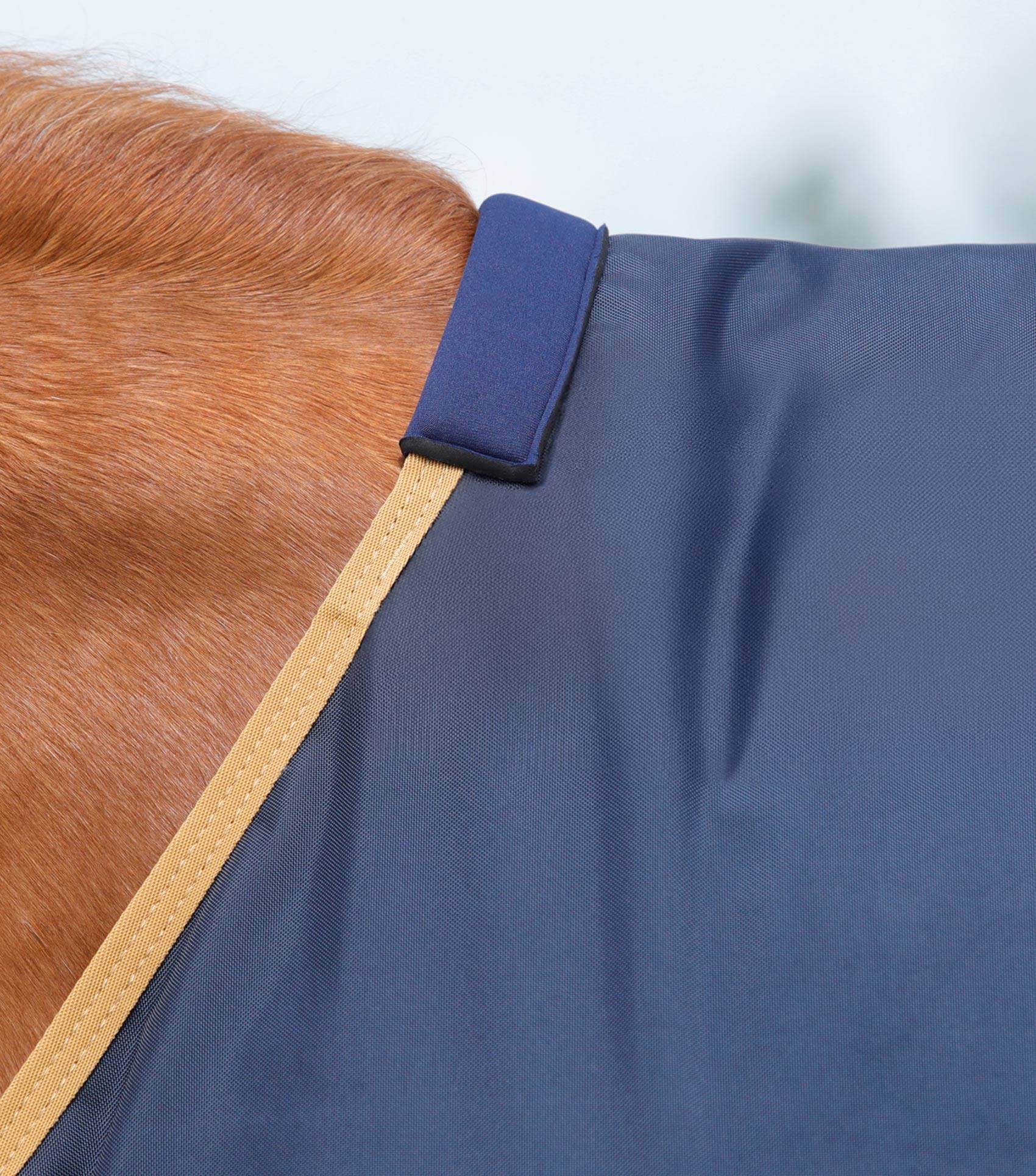 Premier Equine Buster 50g Original Turnout Rug - N P Equestrian & Pet Supplies Ltd 