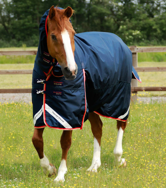 Premier Equine Buster Storm 200g Combo Turnout Rug with Snug-Fit Neck on a horse, perfect for comfort and style.