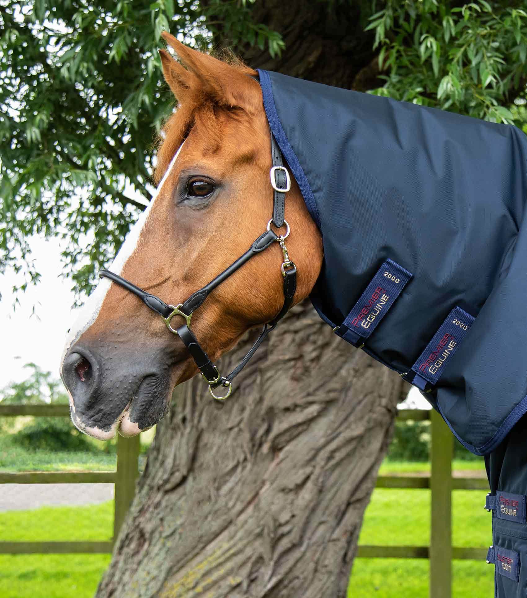 Premier Equine Buster Storm 220g Combo Turnout Rug with Classic Neck Navy - N P Equestrian & Pet Supplies Ltd 