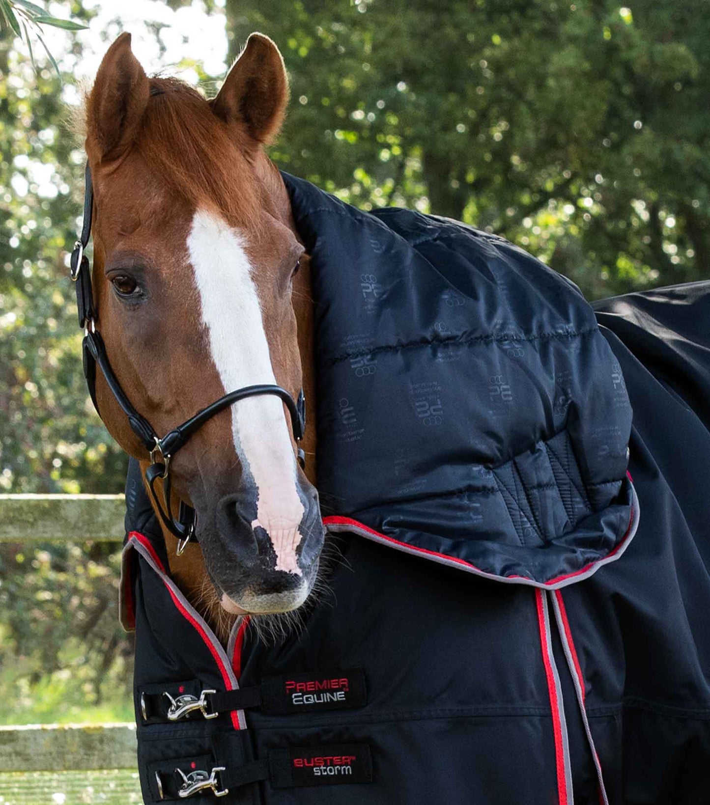 Premier Equine Buster Storm 400g Combo Turnout Rug with Snug-Fit Neck Black - N P Equestrian & Pet Supplies Ltd