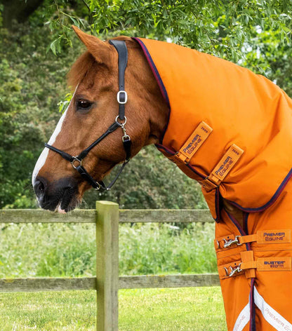 Premier Equine Buster Storm 200g Combo Turnout Rug with Classic Neck Burnt Orange - N P Equestrian & Pet Supplies Ltd 