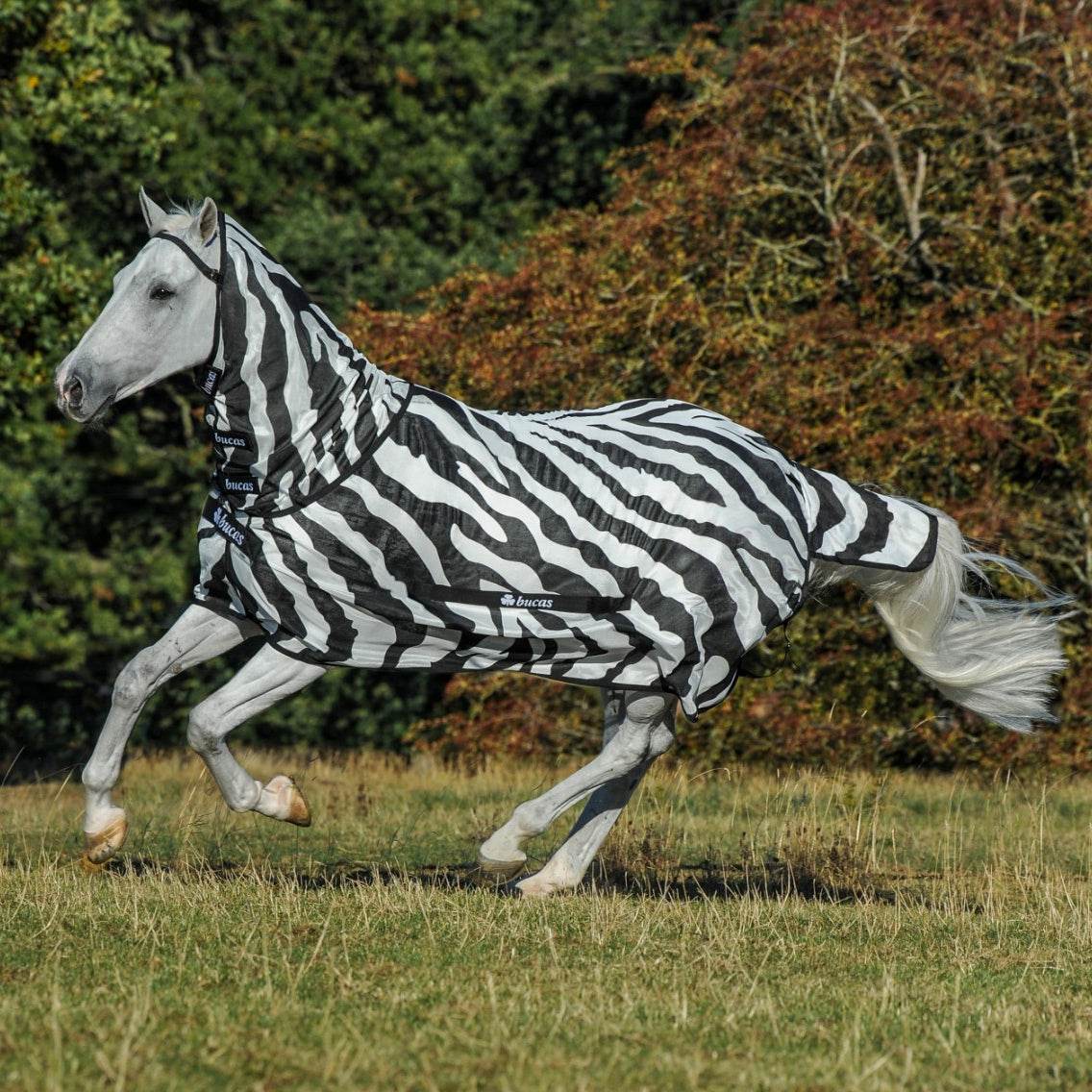 Bucas Buzz-Off Zebra Fly Rug - N P Equestrian & Pet Supplies Ltd 