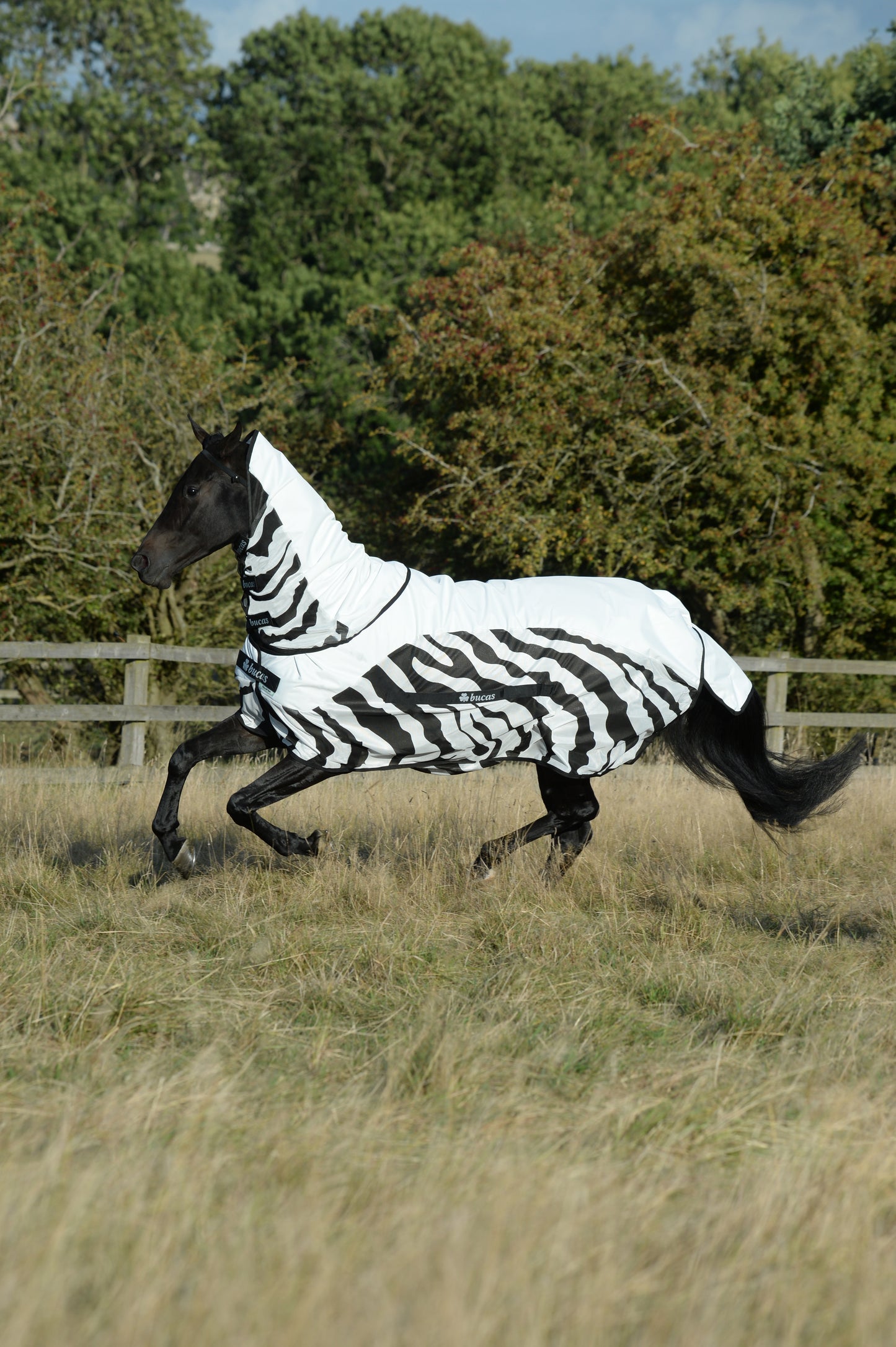 Bucas Buzz-Off Rain Zebra Fly Rug With Detachable Neck