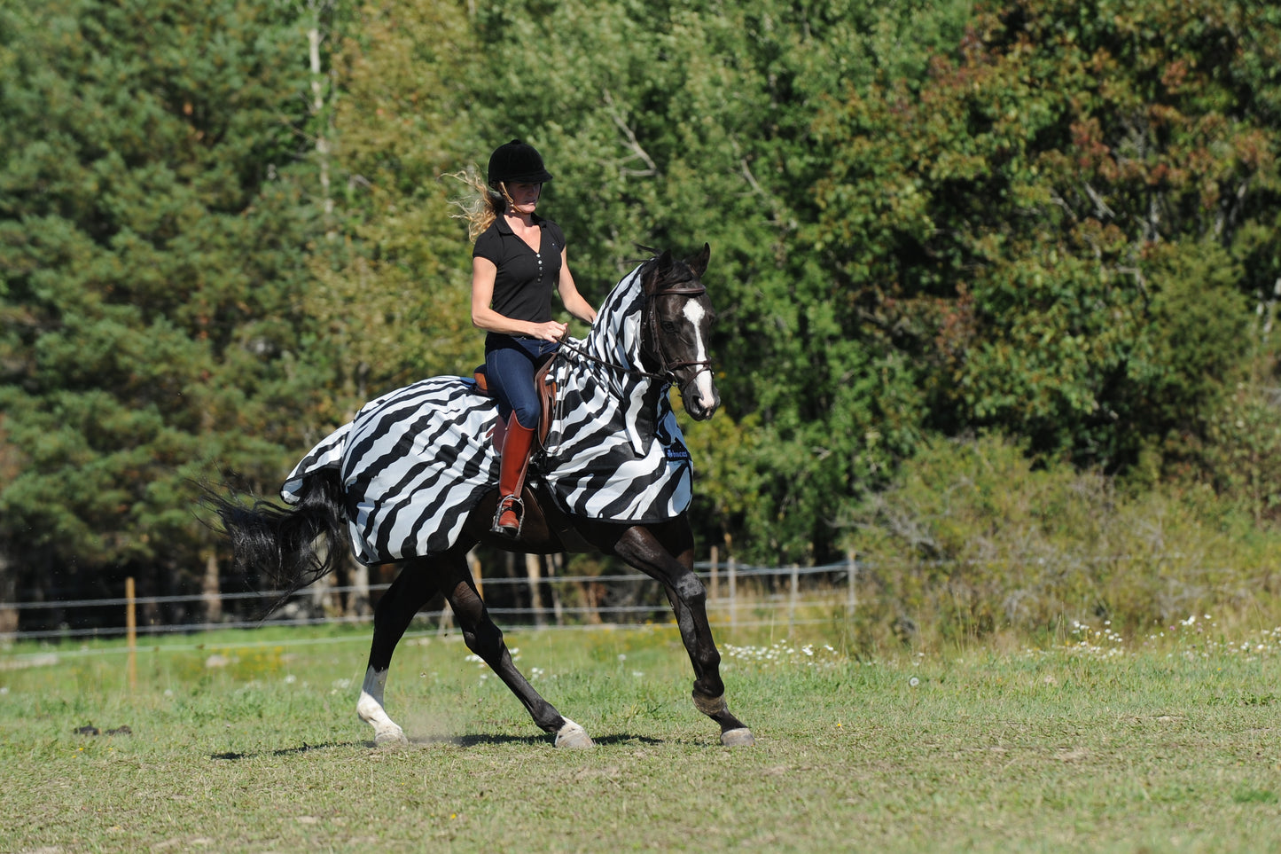 Bucas Buzz-Off Riding Zebra Rug