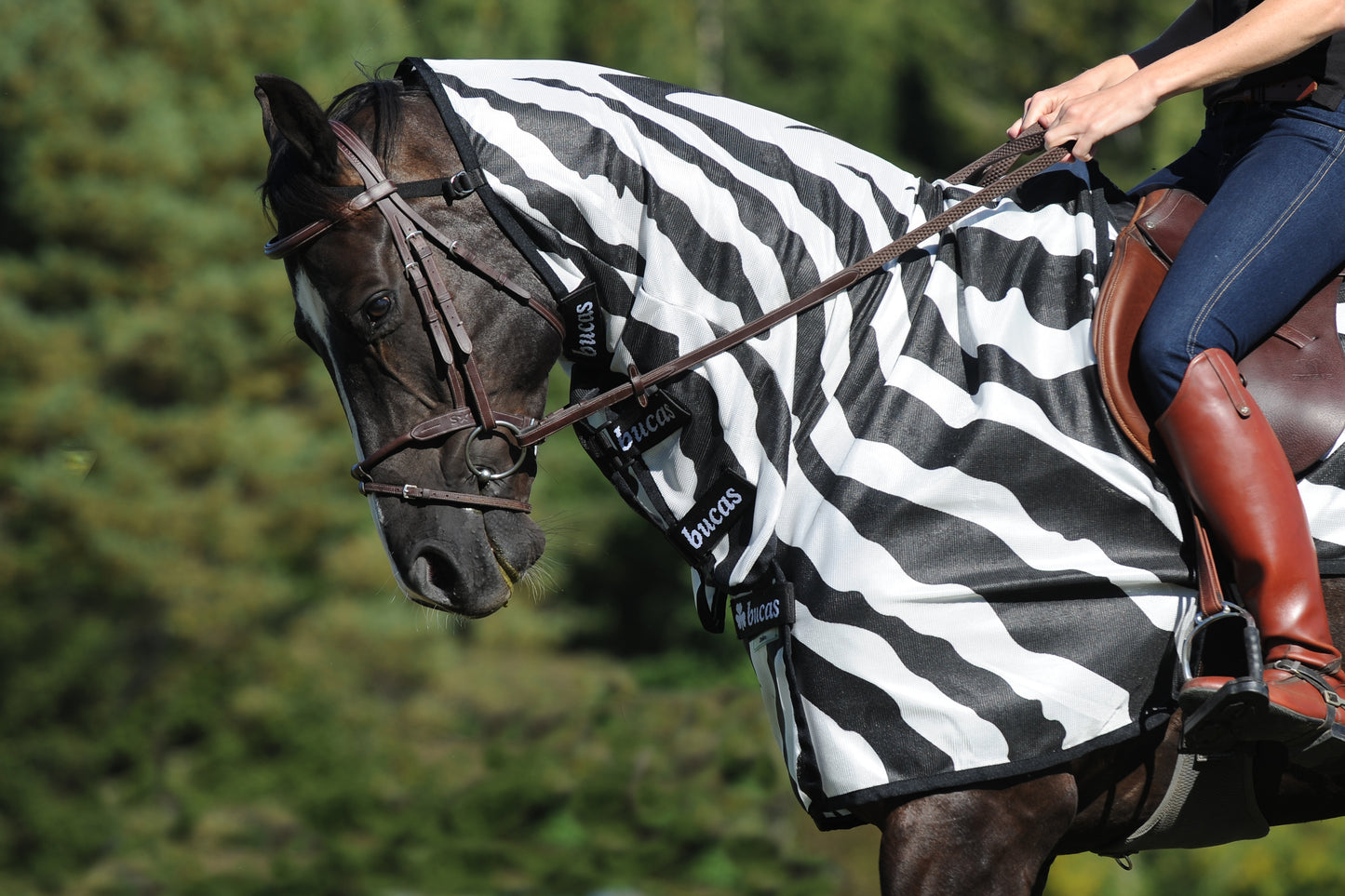 Bucas Buzz-Off Riding Zebra Rug