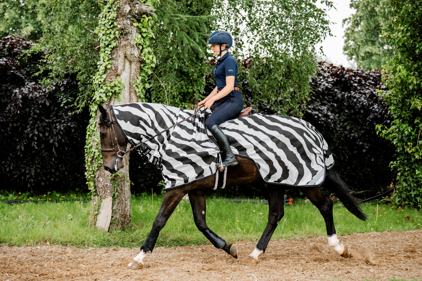 Bucas Buzz-Off Riding Zebra Rug