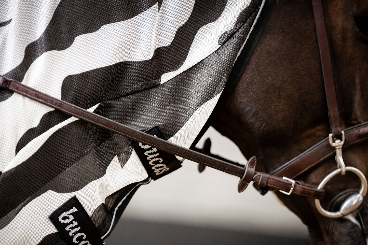 Bucas Buzz-Off Riding Zebra Rug