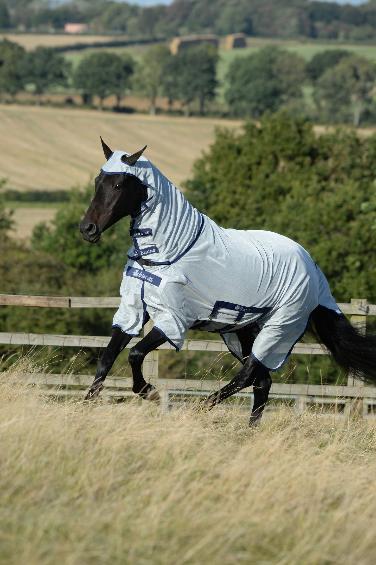 Bucas Buzz-Off X Full Neck Fly Rug - Silver