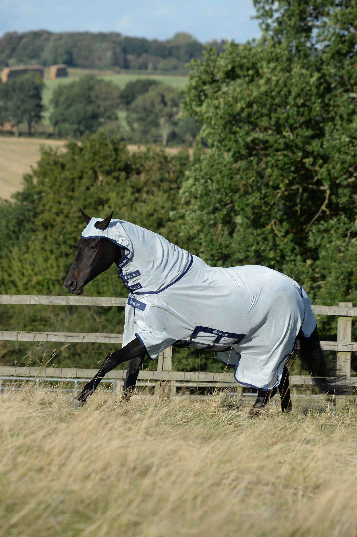 Bucas Buzz-Off X Full Neck Fly Rug - Silver