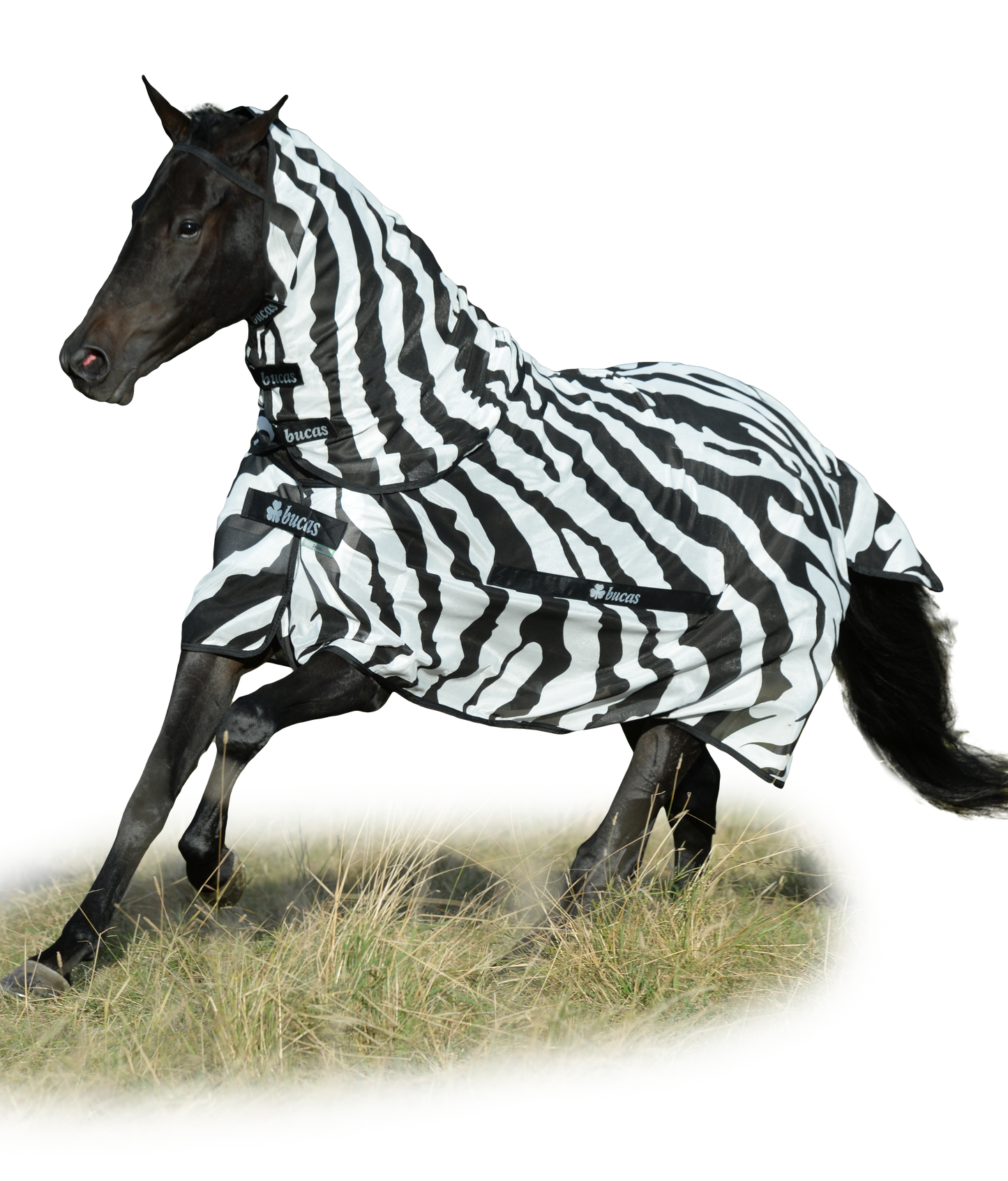 Bucas Buzz-Off Zebra Fly Rug with Detachable Neck Cover