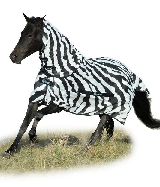 Bucas Buzz-Off Zebra Fly Rug with Detachable Neck Cover