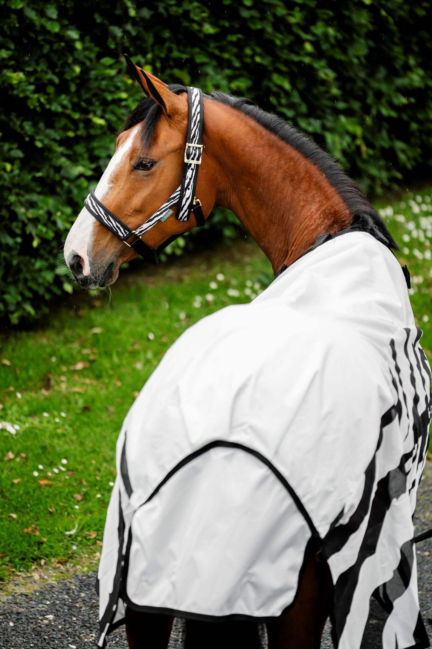Bucas Buzz-Off Rain Zebra Fly Rug With Detachable Neck