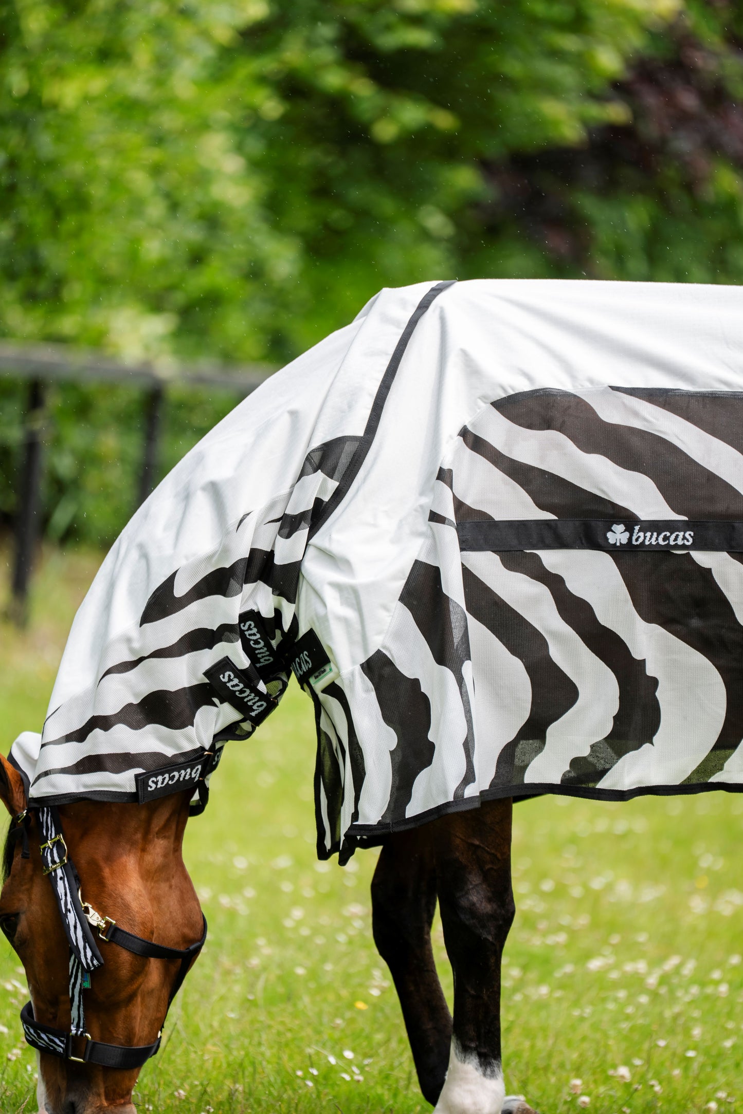 Bucas Buzz-Off Rain Zebra Fly Rug With Detachable Neck