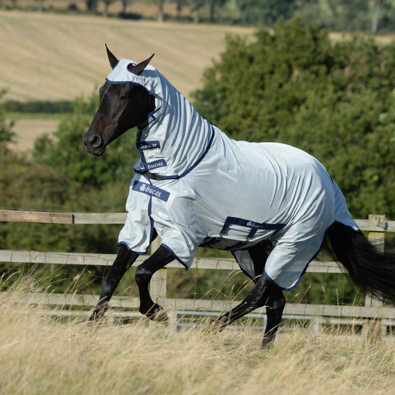 Bucas Buzz-Off X Fly Rug - N P Equestrian & Pet Supplies Ltd 