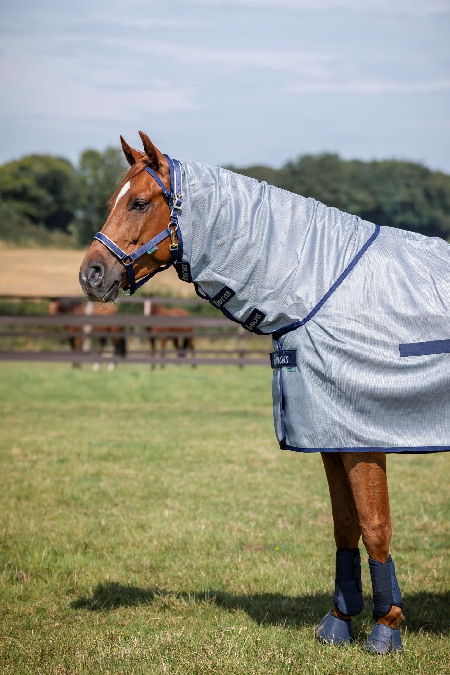 Bucas Buzz-Off Full Neck Fly Rug - Blue