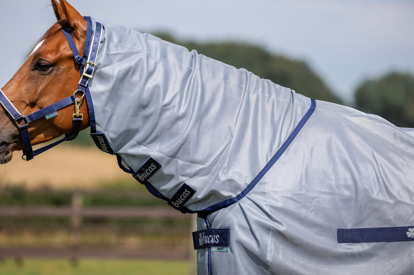 Bucas Buzz-Off Full Neck Fly Rug - Blue