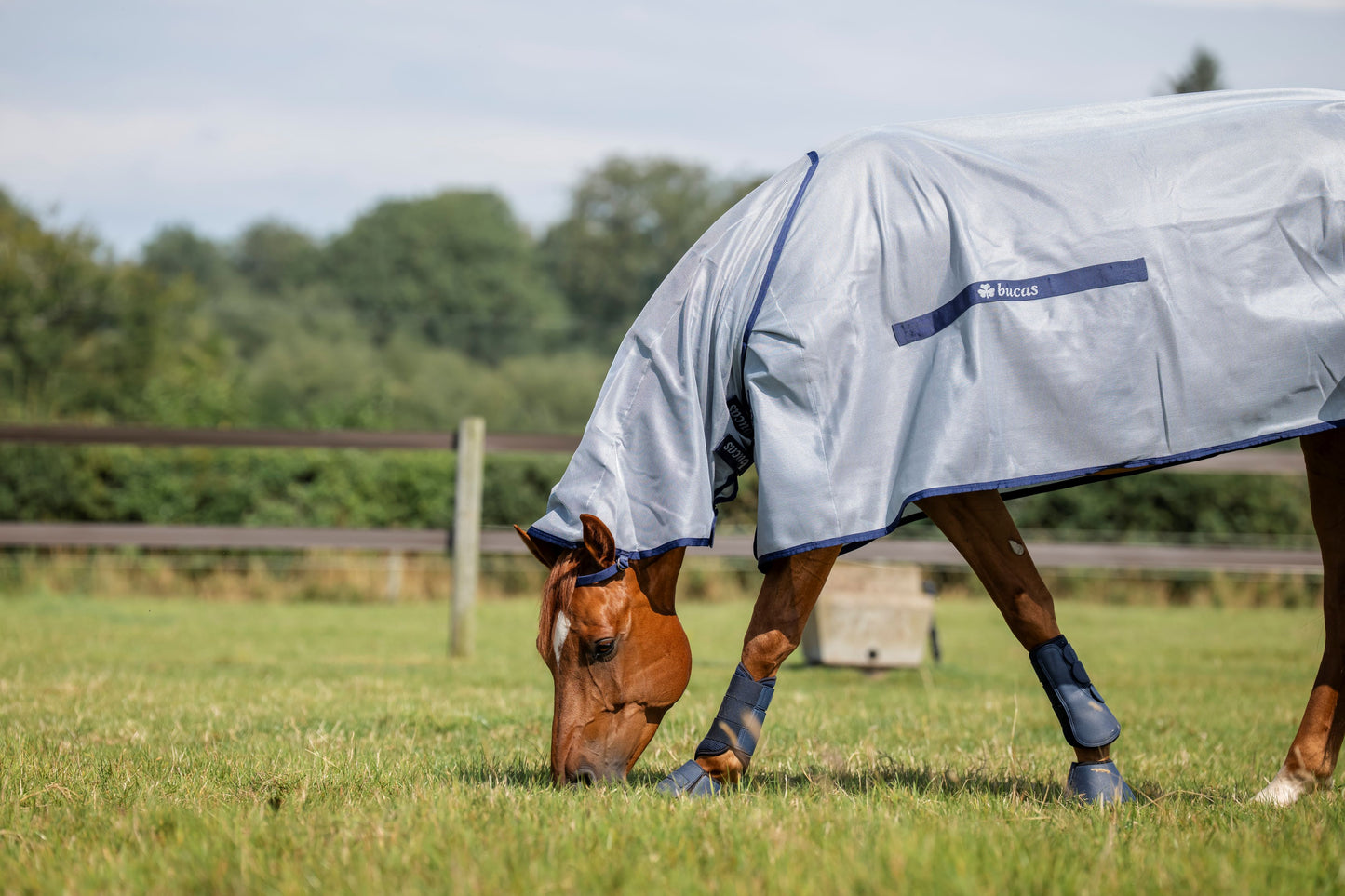 Bucas Buzz-Off Full Neck Fly Rug - Blue
