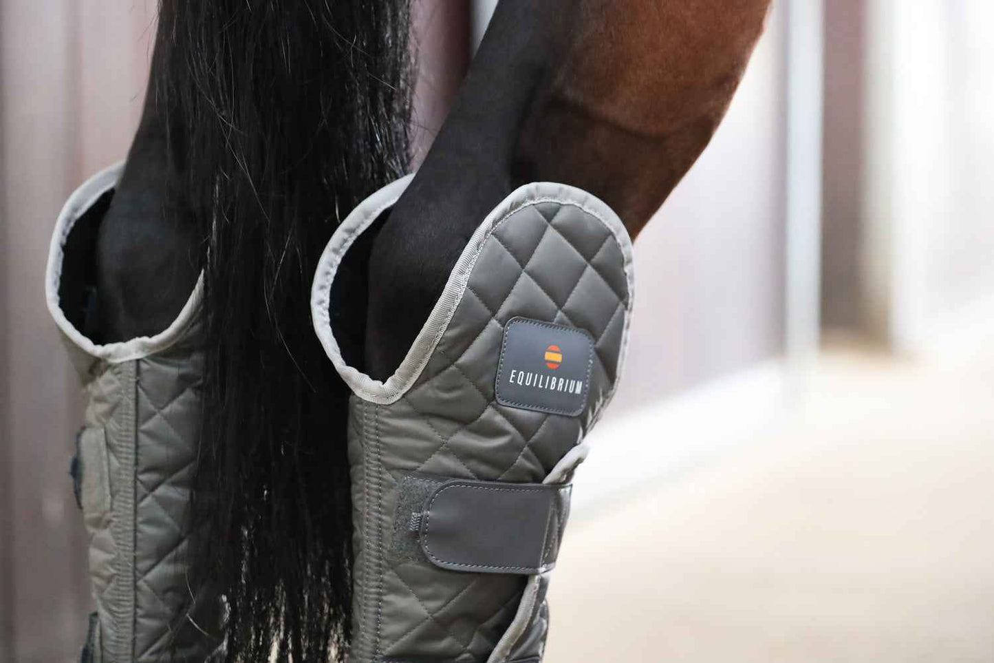 Equilibrium Hind & Hock Magnetic Chaps