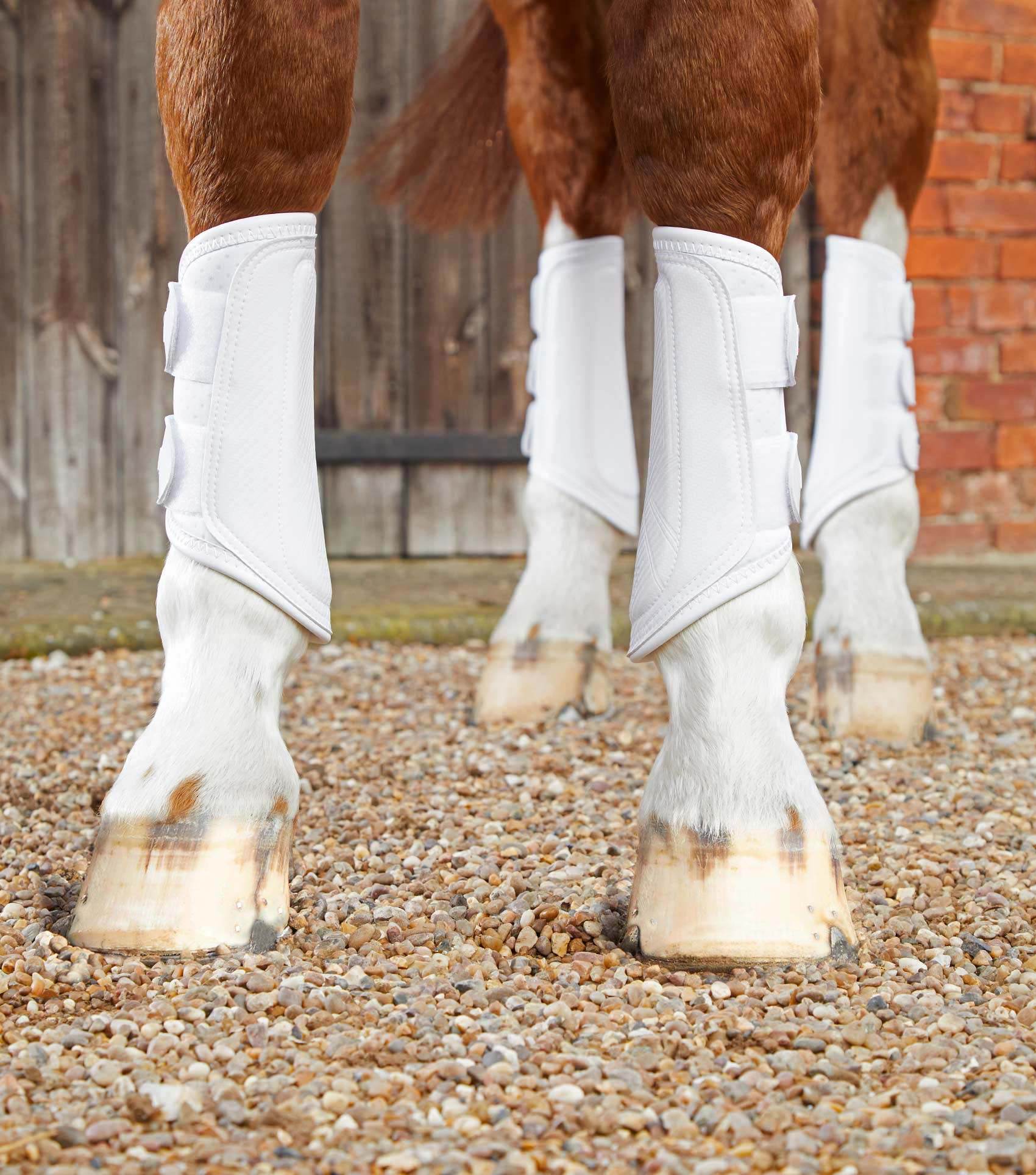 Premier Equine Carbon Air-Tech Double Locking Brushing Boots - N P Equestrian & Pet Supplies Ltd 