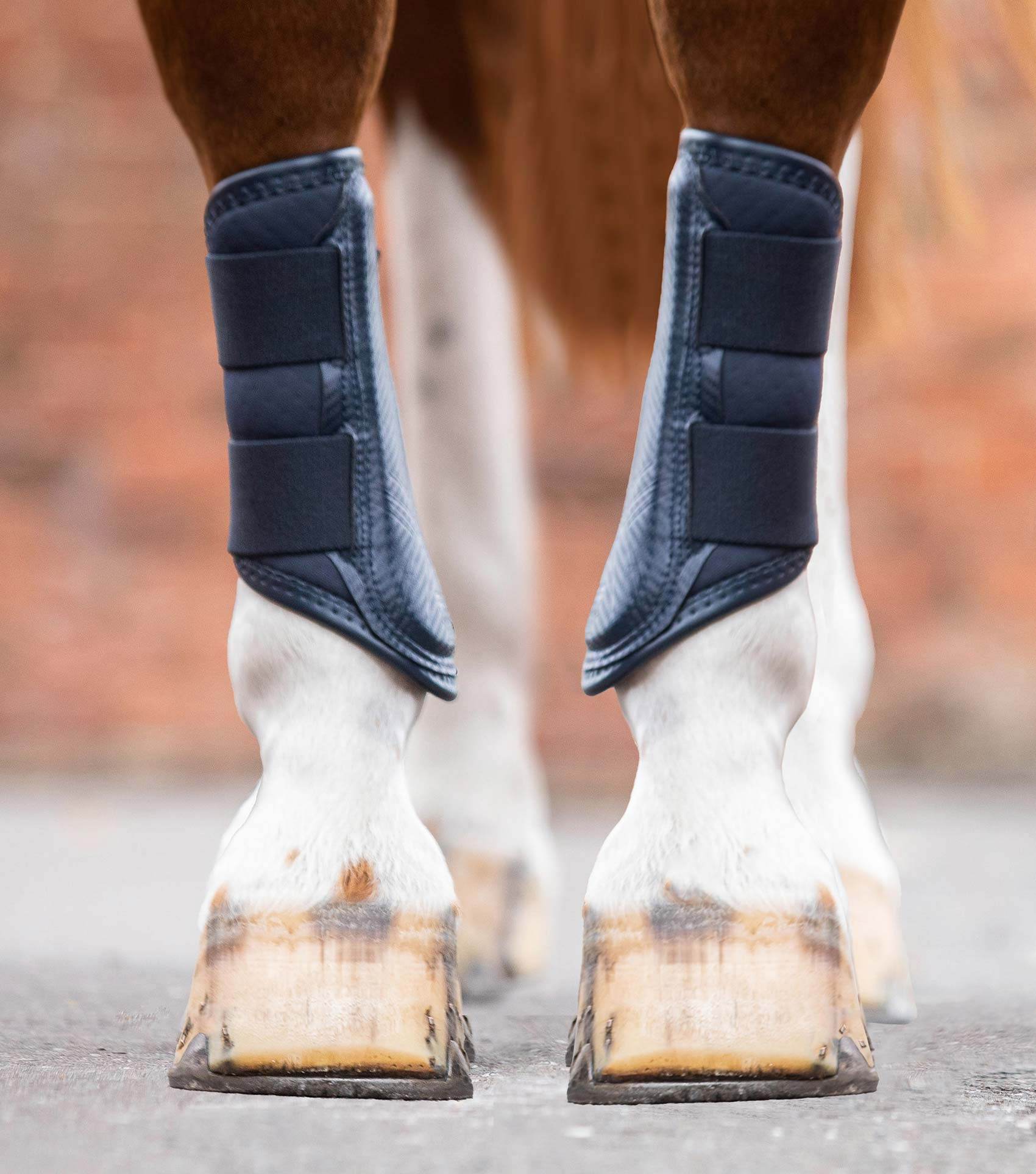 Premier Equine Carbon Air-Tech Single Locking Brushing Boots - N P Equestrian & Pet Supplies Ltd 