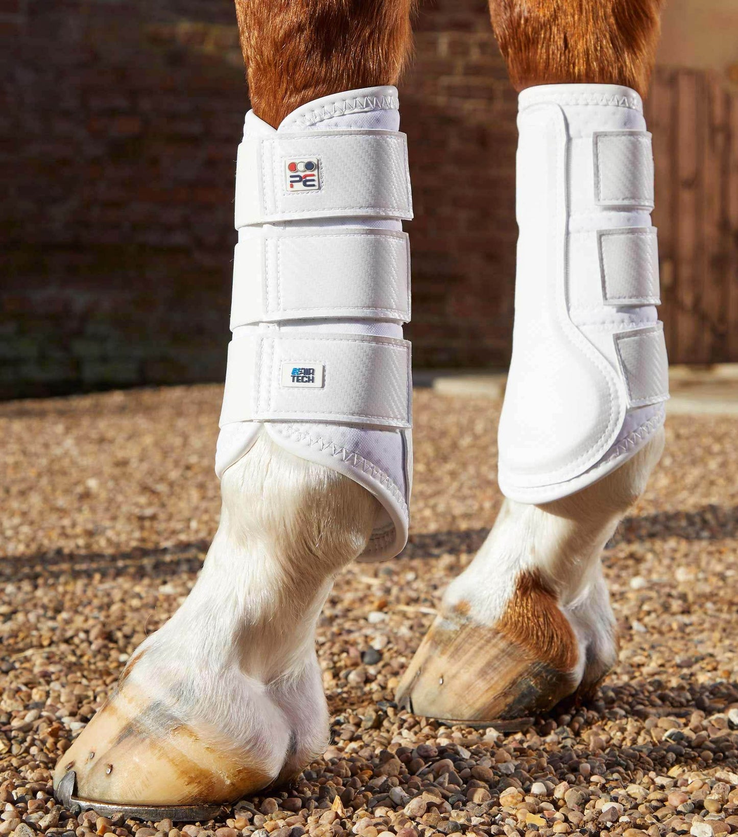 Premier Equine Carbon Air-Tech Single Locking Brushing Boots - N P Equestrian & Pet Supplies Ltd 