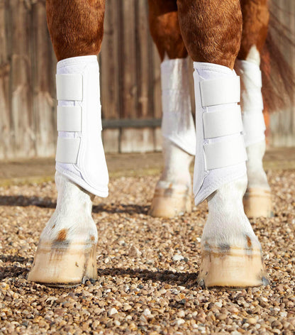 Premier Equine Carbon Air-Tech Single Locking Brushing Boots - N P Equestrian & Pet Supplies Ltd 