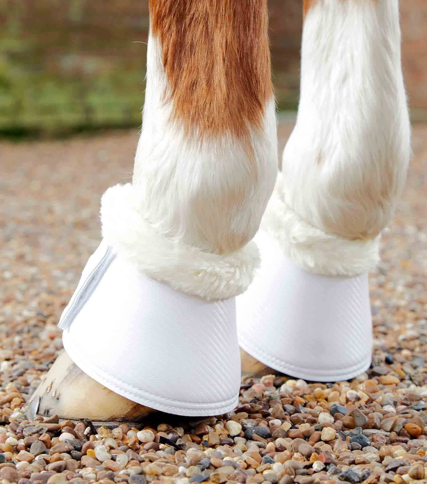 Premier Equine Carbon Tech Techno Wool Over Reach Boots - N P Equestrian & Pet Supplies Ltd 