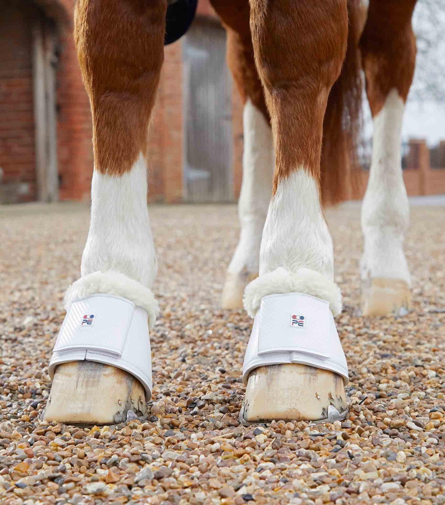 Premier Equine Carbon Tech Techno Wool Over Reach Boots - N P Equestrian & Pet Supplies Ltd 