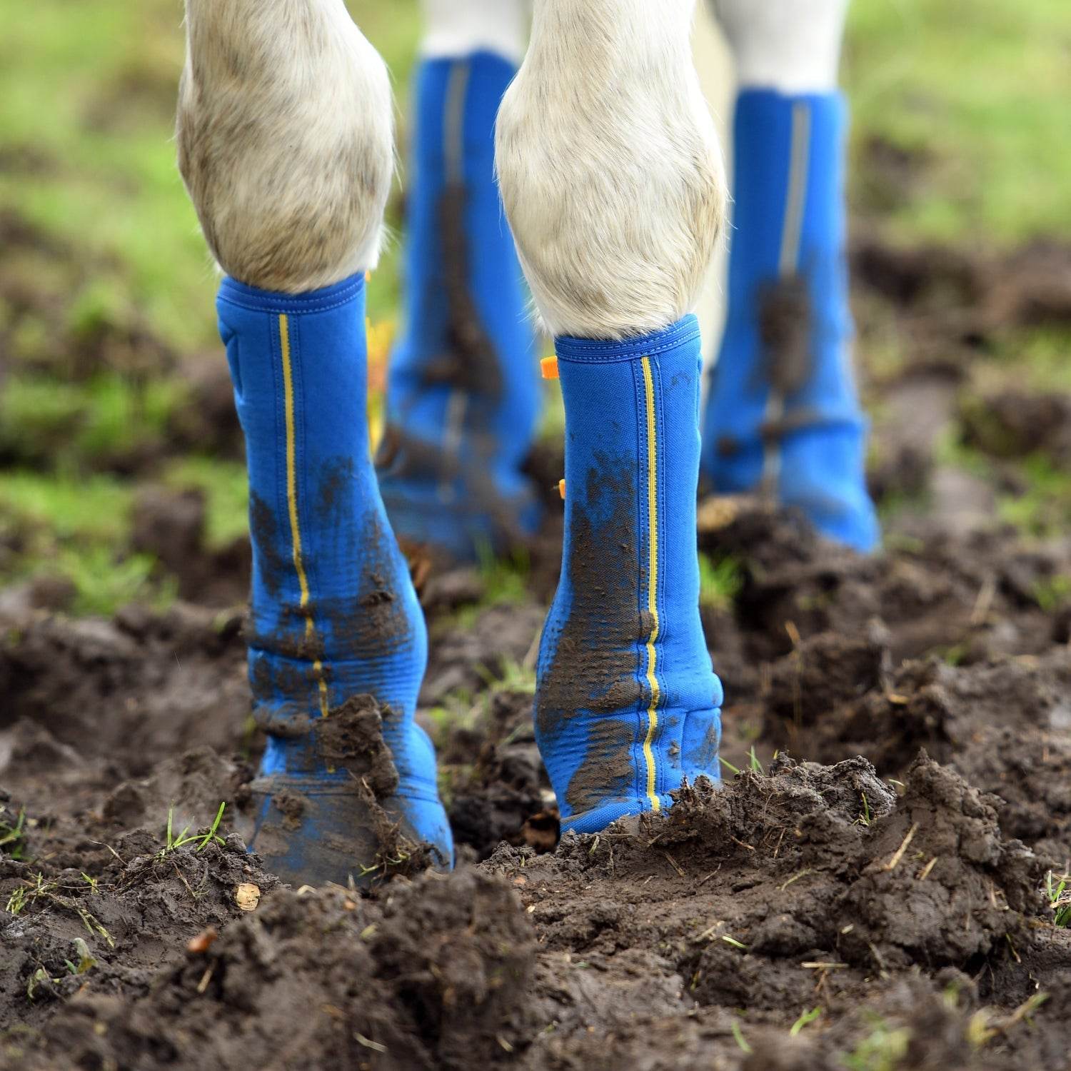 Equilibrium Equi-Chaps Close Contact Chaps - N P Equestrian & Pet Supplies Ltd 
